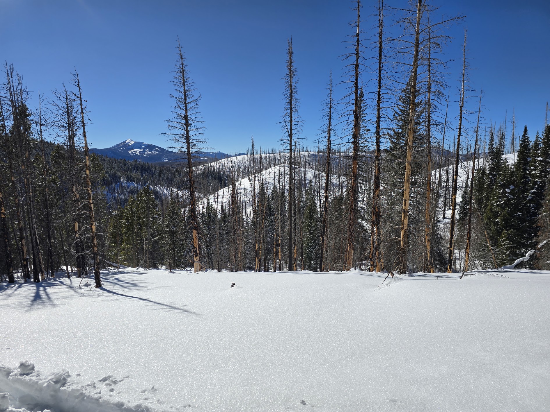 Continental Divide Trail Tour riding into Wyoming