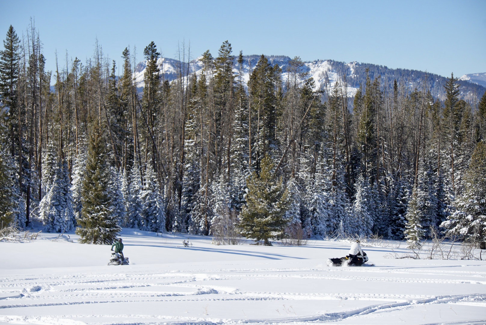 Full day backcountry snowmobile ride