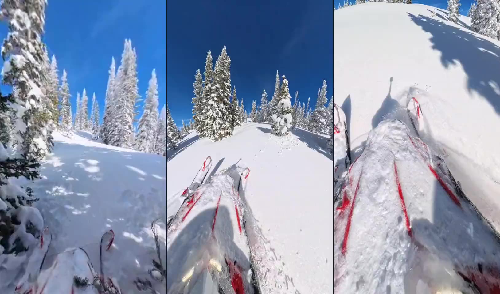 Rider's-eye view from a snowmobile pushing through fresh powder beneath snow-covered spruce in Routt National Forest near Steamboat Springs